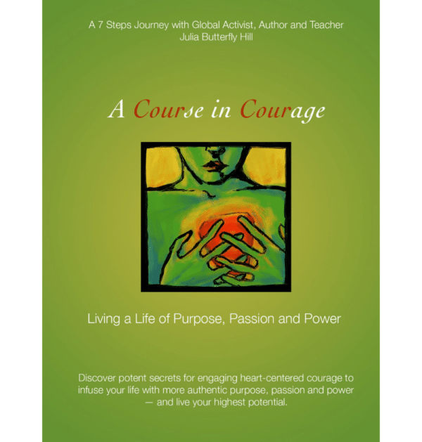 A Course in Courage - A 7 steps online workbook course that includes meditations